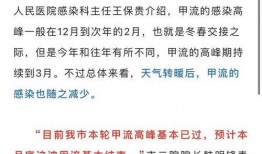 甲流最新情况爆料,全球防控形势与病例分布概览